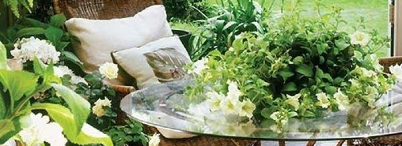 Построить свой дом у моря в Одессе: участки на Фонтане, Аркадии, Чубаевке