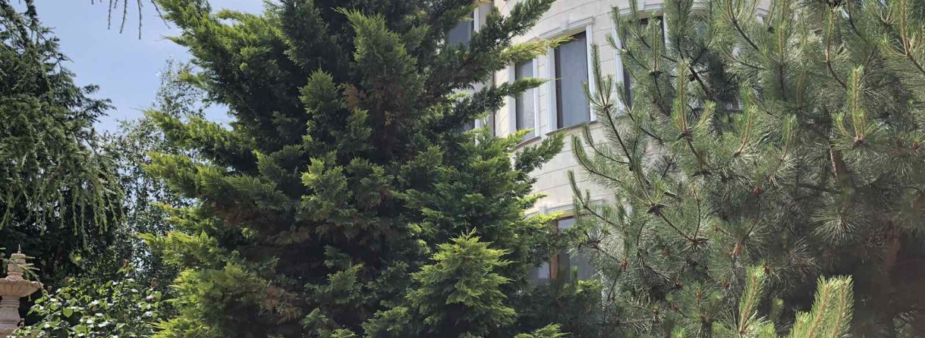 5 ошибок при продаже элитного дома в Одессе, которых стоит избегать