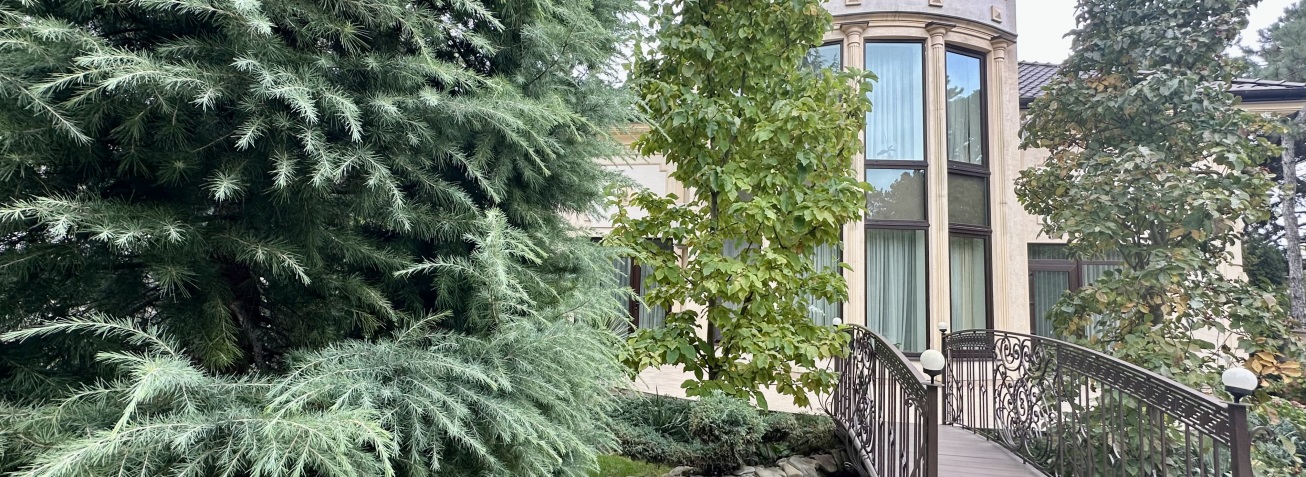 Підсумки листопада 2025 року: аналітика ринку елітних будинків в Одесі | STANDARD